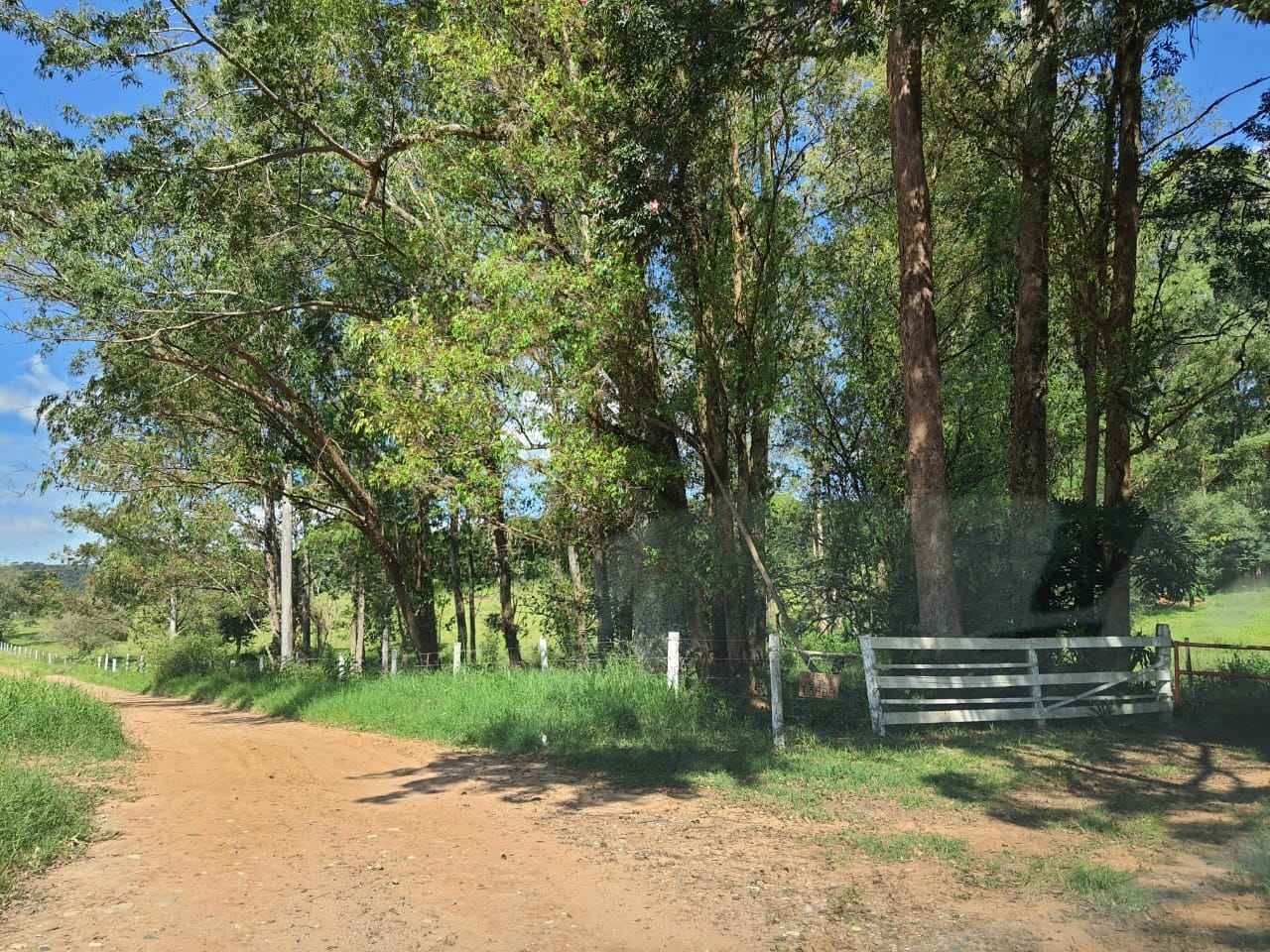 Sítio de 16 alqueires na região de São Carlos em São Carlos/SP
