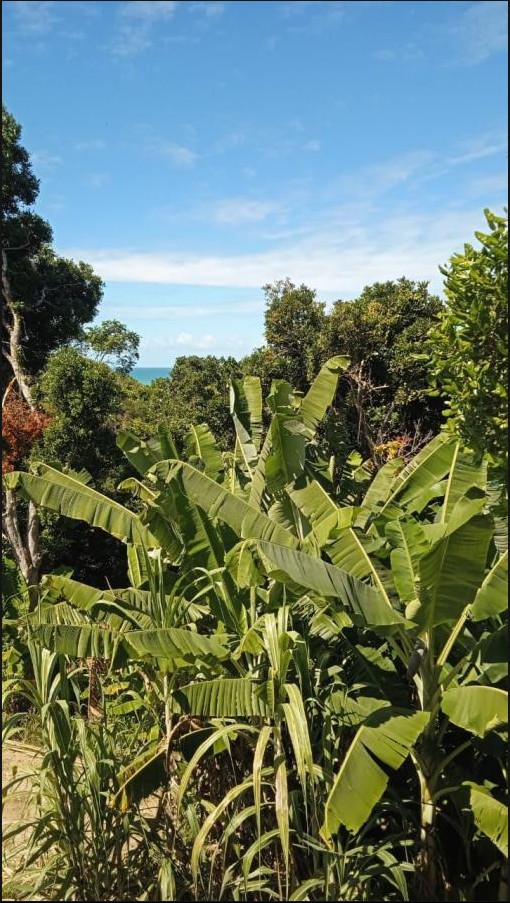 Área para Venda, Porto Seguro / BA à Porto Seguro/BA